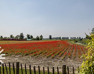 Gezellige woonkamer met TV in vakantiehuis ZE1221, Sint-Annaland, Tholen voor ontspanning.