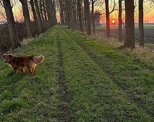Unterkunft 610136 - Ferienhaus Tholen - Vakantiehuis Luxus-App in der Scheune 
