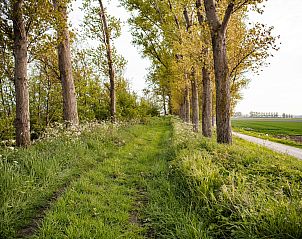 Unterkunft 610136 - Ferienhaus Tholen - Vakantiehuis Luxus-App in der Scheune 