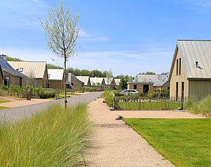 Rustige straat met vakantiehuizen in Vakantiehuis Oesterdam Resort, Tholen, Zeeland omgeven door groen.