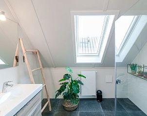 Luxe badkamer in Vakantiehuis Oesterdam Resort, Tholen, Zeeland met dakraam en moderne voorzieningen.