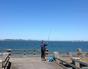 Guest house 610414 - Holiday property Tholen - Vakantiehuis mit Garten, Grill und Terrasse