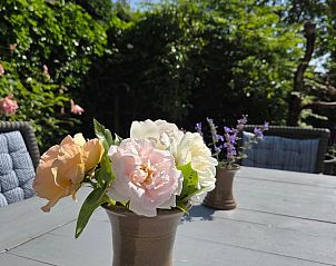 Guest house 610458 - Holiday property Tholen - Vakantiehuis f�r 6 Personen