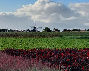 Guest house 610464 - Holiday property Tholen - Vakantiehuis Buurtweg 75