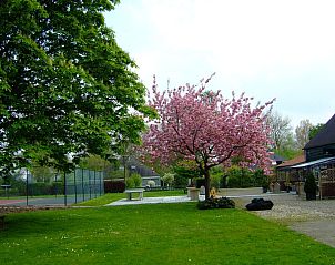 Guest house 610465 - Holiday property Tholen - Vakantiehuis Zand en Zon in Stavenisse