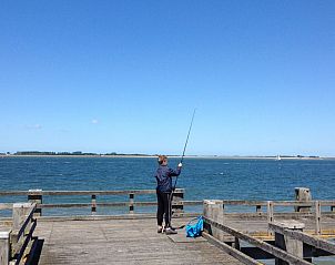 Guest house 610472 - Holiday property Tholen - Vakantiehuis in einem familienfreundlichen Ferienpark