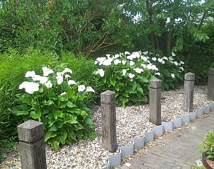 Guest house 610477 - Holiday property Tholen - Vakantiehuis mit privatem Garten und Grill