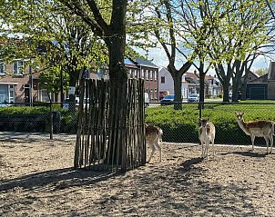 Guest house 610481 - Holiday property Tholen - Vakantiehuis 