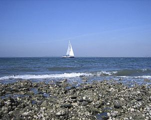 Guest house 610483 - Holiday property Tholen - Vakantiehuis 