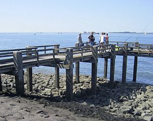 Guest house 610483 - Holiday property Tholen - Vakantiehuis 