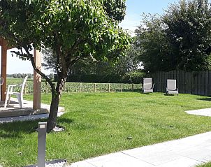 Guest house 610484 - Holiday property Tholen - Vakantiehuis mit privatem Garten und Terrasse