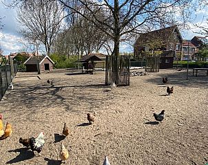 Guest house 610484 - Holiday property Tholen - Vakantiehuis mit privatem Garten und Terrasse