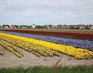 Guest house 611007 - Holiday property Tholen - Huisje in Scherpenisse