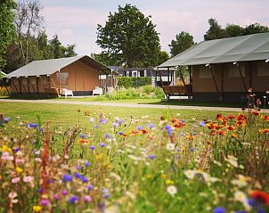 Guest house 611016 • Tent house Tholen • Safaritent + toilet 