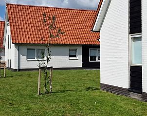Guest house 611048 - Holiday property Tholen - Huisje in Scherpenisse