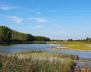 Natuurrijke omgeving nabij VZ1100 Vakantiechalet in Scherpenisse, ideaal voor wandelingen en ontspanning in Tholen, Zeeland.