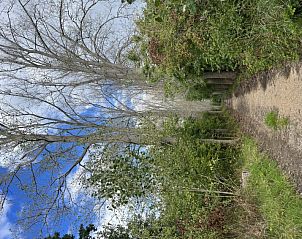 Guest house 611067 - Holiday property Tholen - Vakantiehuis Sunset