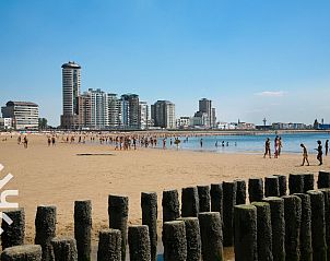 Guest house 620110 - Holiday property Walcheren - ZE1302