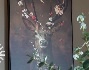 Guest house 620178 - Holiday property Walcheren - ZE1430