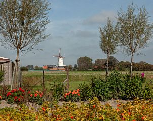 Schne Aussicht auf die Mhle vom Ferienhaus 'T Bloemenhof Koudekerke, umgeben von Blumen, Walcheren, Zeeland.
