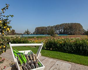 Blick auf den Blumengarten des Ferienhauses 'T Bloemenhof Koudekerke, umgeben von Natur, Walcheren, Zeeland.