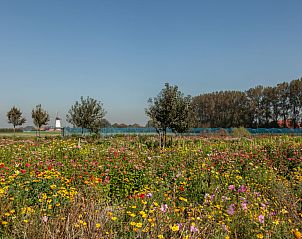 Weite Blumenfelder rund um das Ferienhaus 'T Bloemenhof Koudekerke, Walcheren, Zeeland.