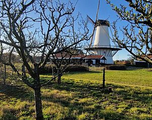 Genieen Sie die lndliche Umgebung im Huisje in Koudekerke, einem charmanten Ferienhaus auf Walcheren in Zeeland mit Blick auf eine Windmhle.