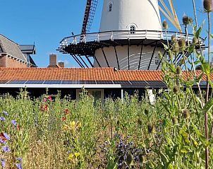 Ferienhaus Cottage in Koudekerke mit Blick auf eine charakteristische Mhle und einen blhenden Garten im malerischen Walcheren, Zeeland.