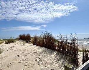 Guest house 620197 - Holiday property Walcheren - Vakantiehuis Duingroen H