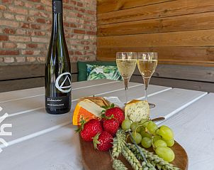 Sunny terrace with flowers at vacation home ZE068 in Oostkapelle, Walcheren, Zeeland.