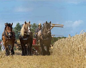 Moderne badkamer in ZE319 vakantiehuis Oostkapelle Walcheren met douche en toilet