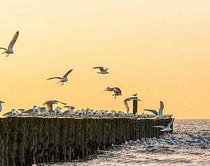 Plattegrond van ZE319 vakantiehuis in Oostkapelle Walcheren met overzichtelijke indeling