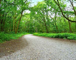 Prachtige boswandeling nabij VZ069 Vakantieappartement Oostkapelle, Walcheren, Zeeland.