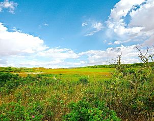 Uitzicht over groene velden nabij VZ069 Vakantieappartement Oostkapelle, Walcheren, Zeeland.