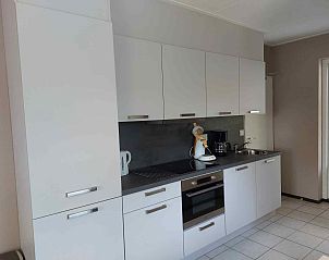 Lokale paardenactiviteit nabij vakantiehuis ZE320 in Oostkapelle, Walcheren, voor een authentieke ervaring.