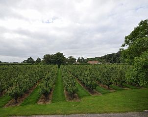Uitzicht op boomgaard vanuit VZ2329 Vakantiehuis Oostkapelle, rust en natuur, Zeeland.