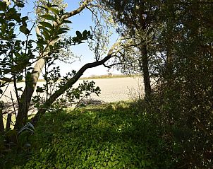 Guest house 6202156 - Holiday property Walcheren - VZ2315 Vrijstaand vakantiehuis in Oostkapelle