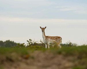 Comfortabele woonkamer in vakantiehuis ZE323, Oostkapelle, Walcheren, Zeeland met tv.