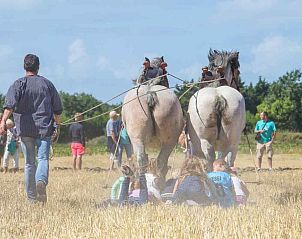 Plattegrond van vakantiehuis ZE323, Oostkapelle, Walcheren, Zeeland met indeling.