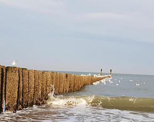 Guest house 6202166 - Chalet Walcheren - Ferienwohnung Oostkapelle Zeeland