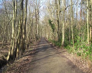 Guest house 6202166 - Chalet Walcheren - Ferienwohnung Oostkapelle Zeeland