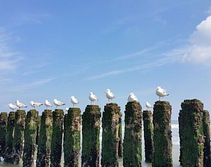 Guest house 6202170 - Fixed travel trailer Walcheren - Heiner und Elke Schmidt/Schmidt-Pesch