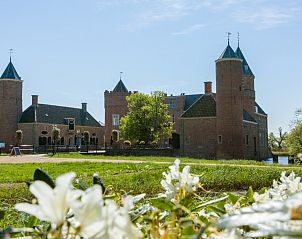 Bloeiende tuinpad naast vakantiehuis ZE1548 in Oostkapelle, Walcheren.