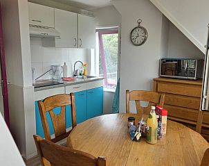 Wilde herten in de natuur nabij vakantiehuis ZE1548, Oostkapelle, Walcheren.