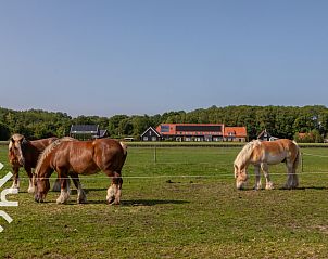 Guest house 6202177 - Holiday property Walcheren - ZE1516