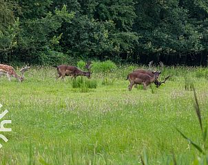 Verblijf 6202178 - Vakantiewoning Walcheren - ZE1518