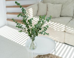 Guest house 6202181 - Holiday property Walcheren - Duin Bos Retreat Oostkapelle