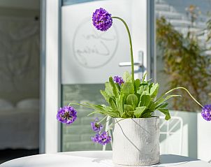 Verblijf 6202183 - Vakantiewoning Walcheren - Duinsuite