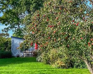 Huisje in Oostkapelle omringd door bomen in Walcheren, Zeeland.