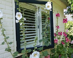 Guest house 6202197 - Holiday property Walcheren - 12084
